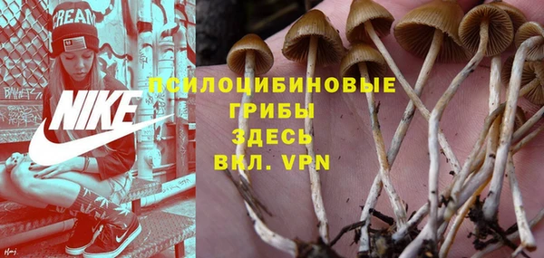 сатива Абаза