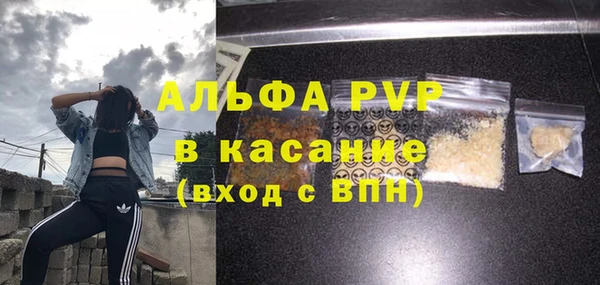 сатива Абаза