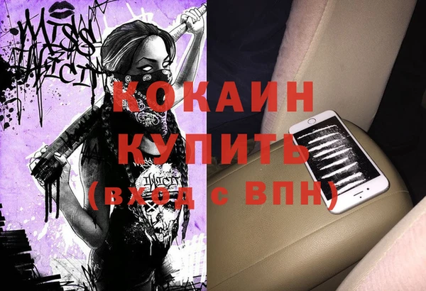 сатива Абаза