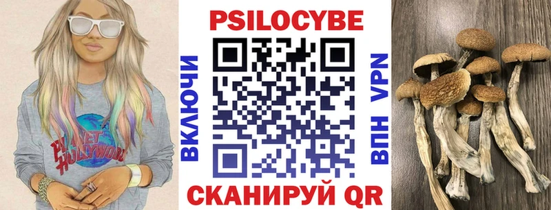 Галлюциногенные грибы ЛСД  Шилка 